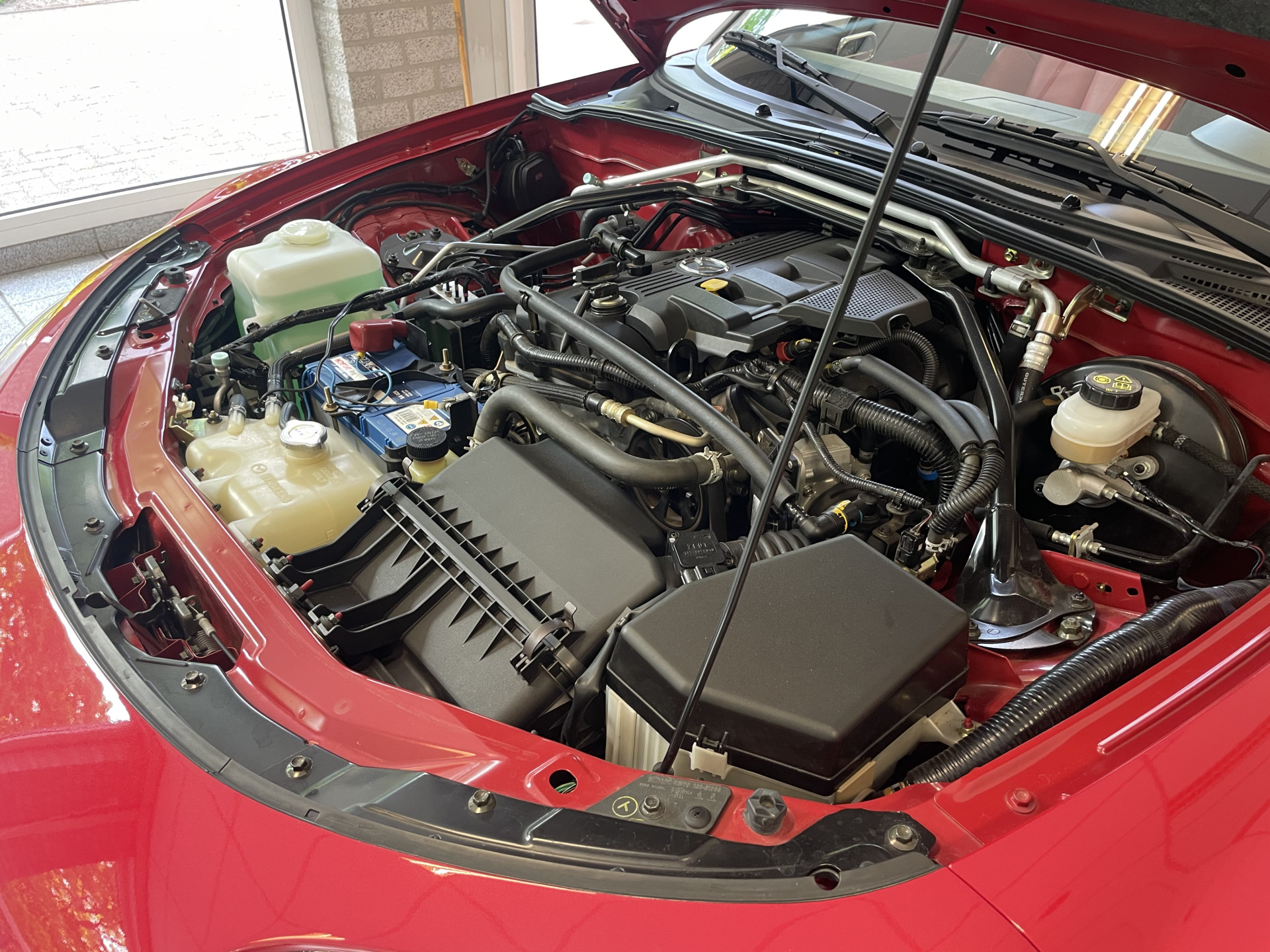 44670286-7.jpg